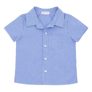 Short Sleeve Button Down Shirt (Blue Micro Gingham)